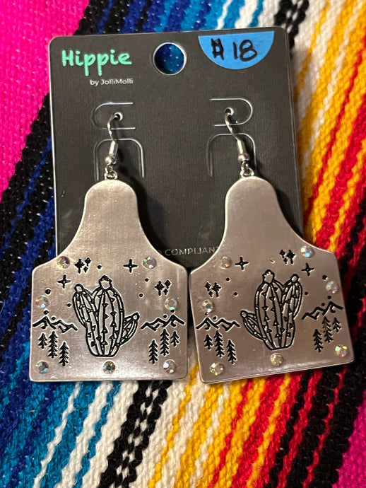 Earrings