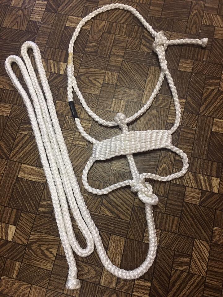 Rope Halter bronc noseband repurposed Louis Vuitton White multi
