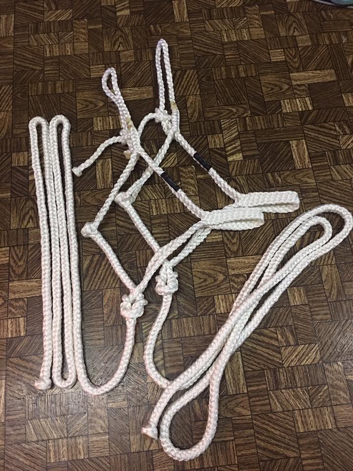 Mule Tape Halter