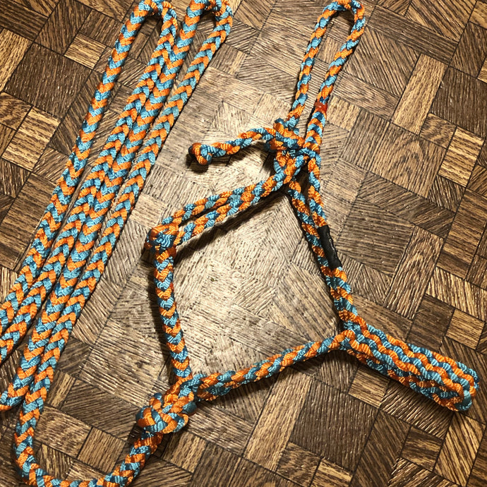 Turquoise & Orange Mule Tape Halter