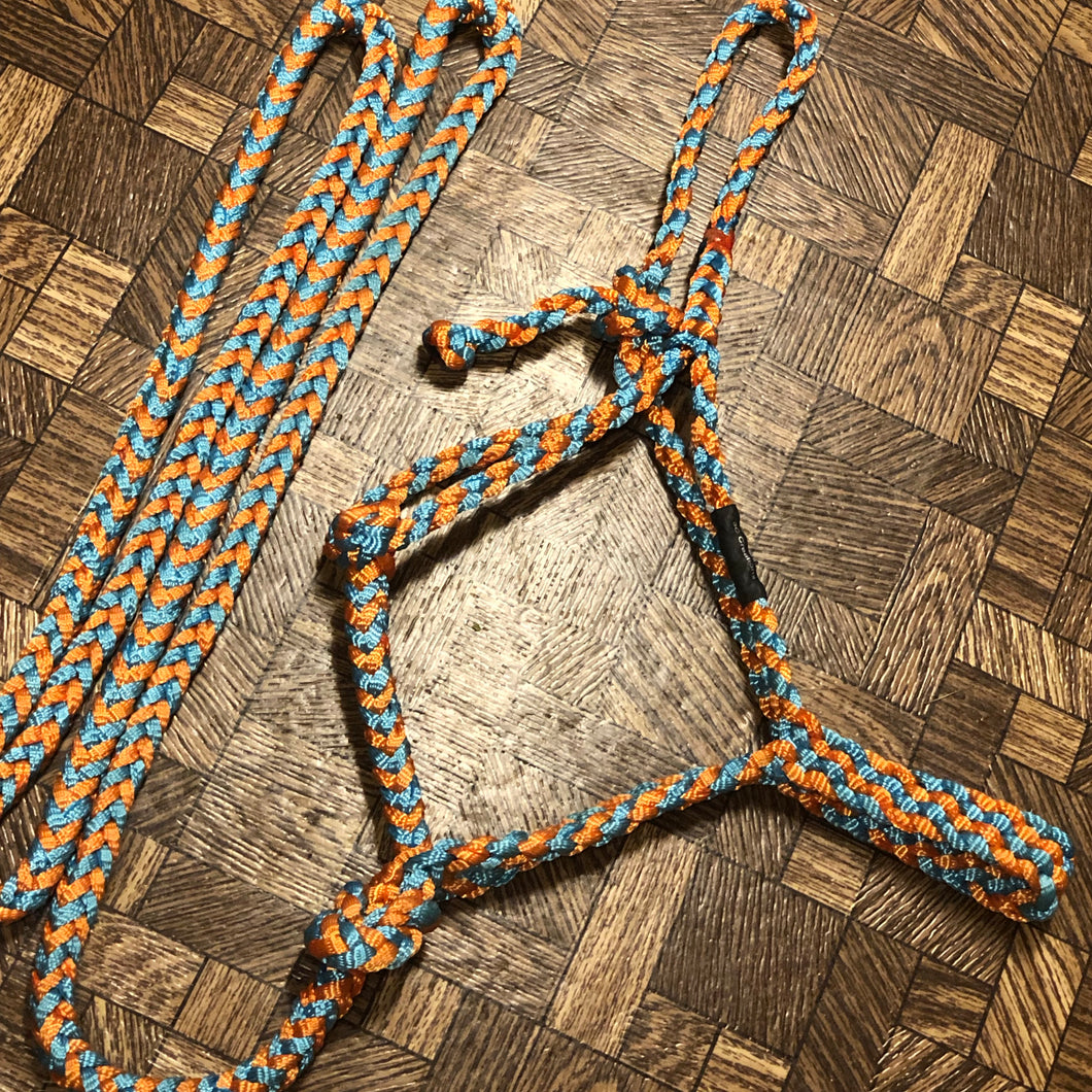 Turquoise & Orange Mule Tape Halter